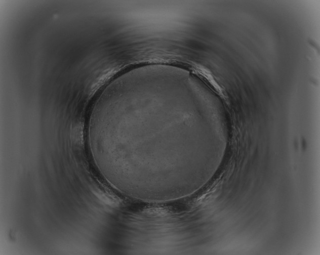 X0000093100299200709261236