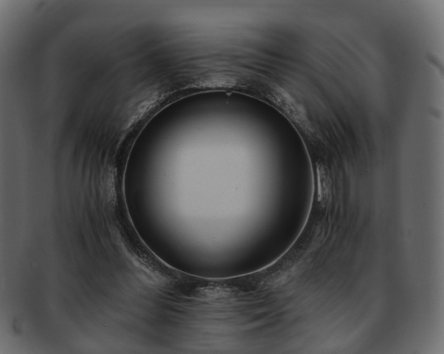 X0000093100300200709261236