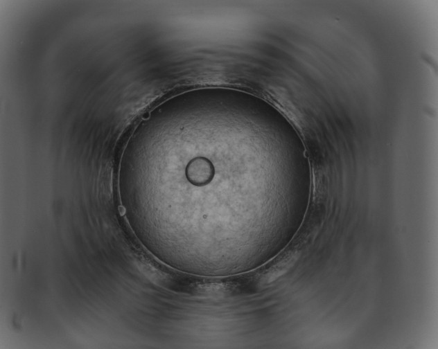 X0000093100301200709261236