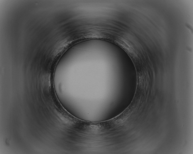 X0000093100302200709261236