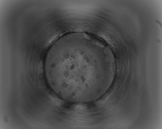X0000093100303200709261236