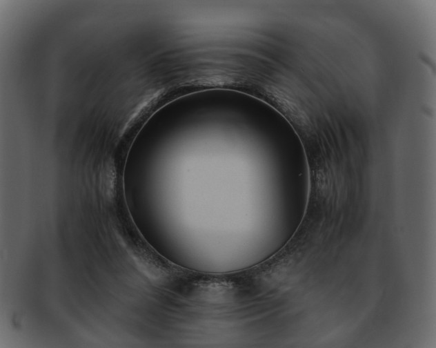 X0000093100304200709261236