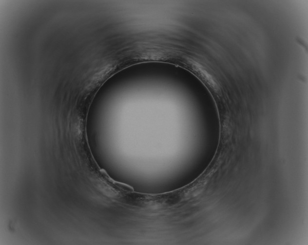 X0000093100305200709261236