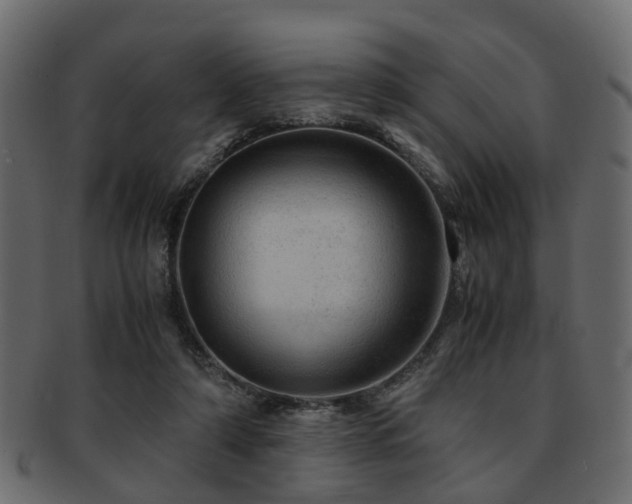 X0000093100306200709261236