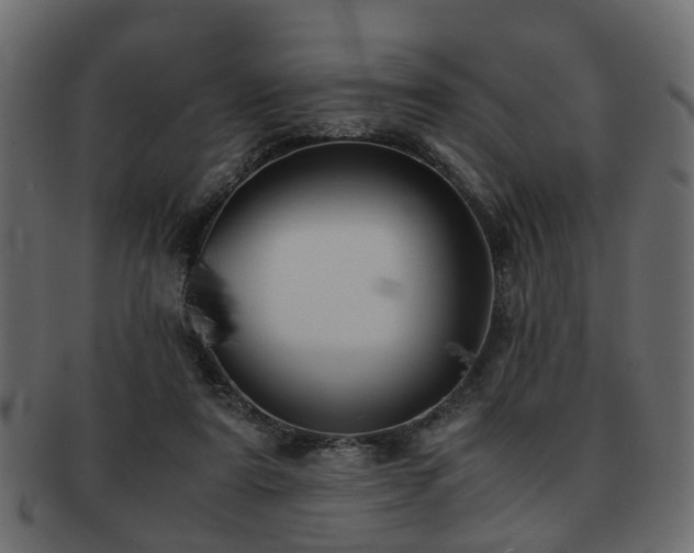 X0000093100307200709261236