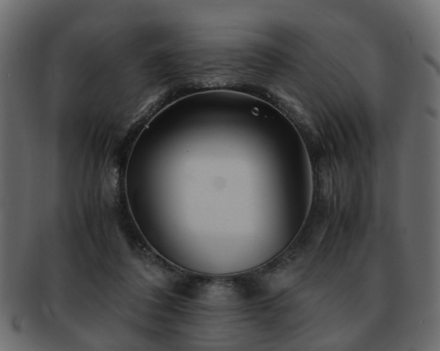 X0000093100308200709261236
