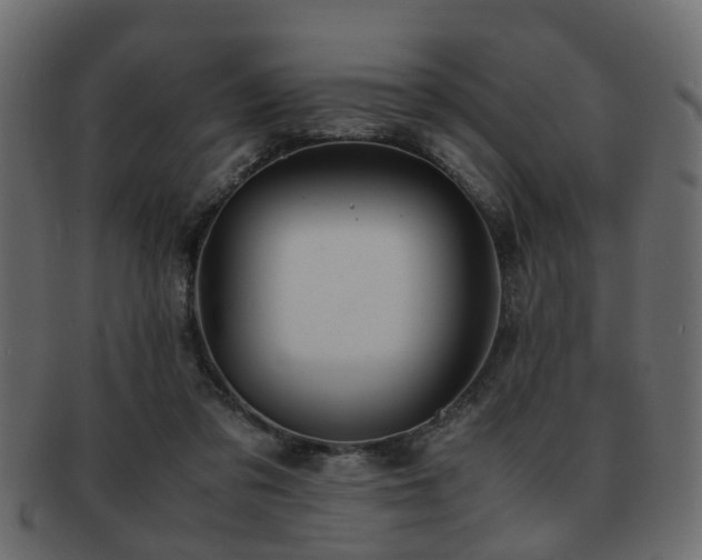 X0000093100309200709261236