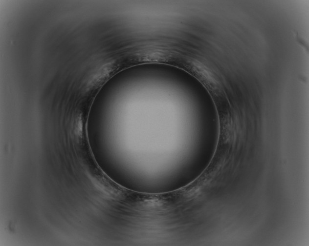 X0000093100310200709261236
