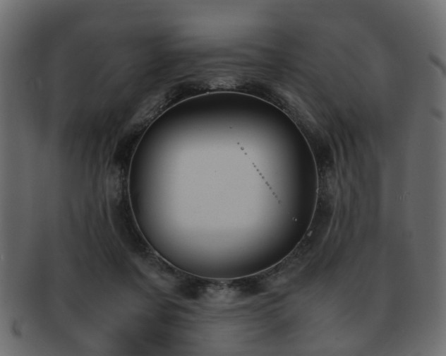 X0000093100311200709261236