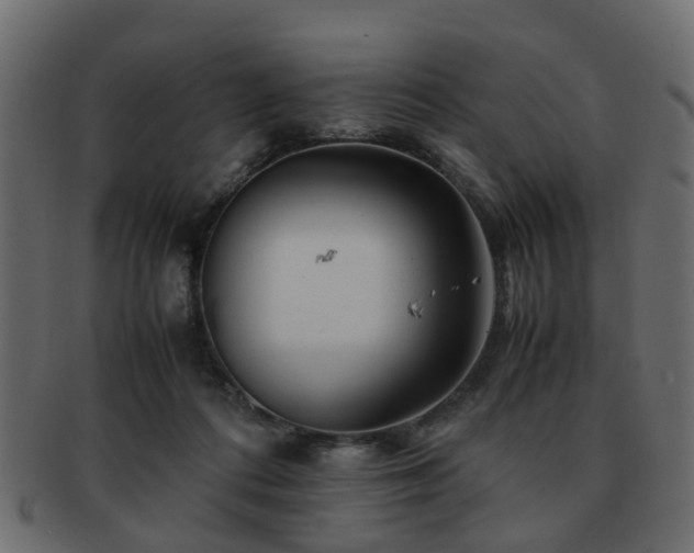 X0000093100312200709261236