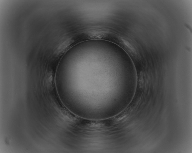 X0000093100314200709261236