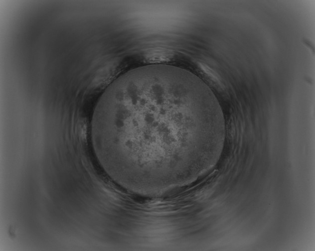 X0000093100315200709261236