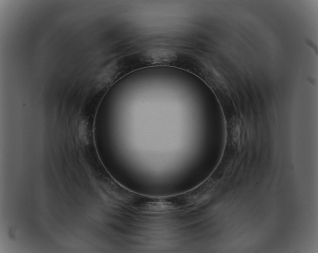 X0000093100316200709261236