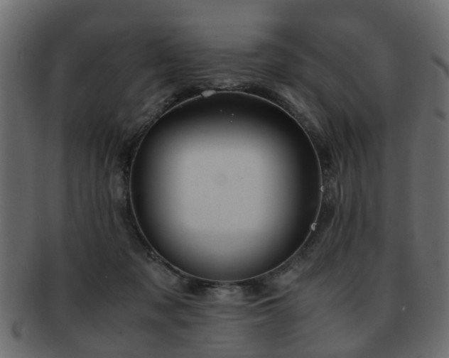 X0000093100317200709261236