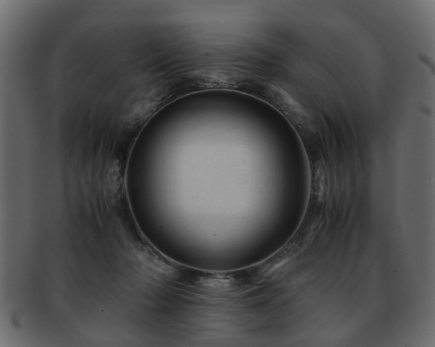 X0000093100318200709261236