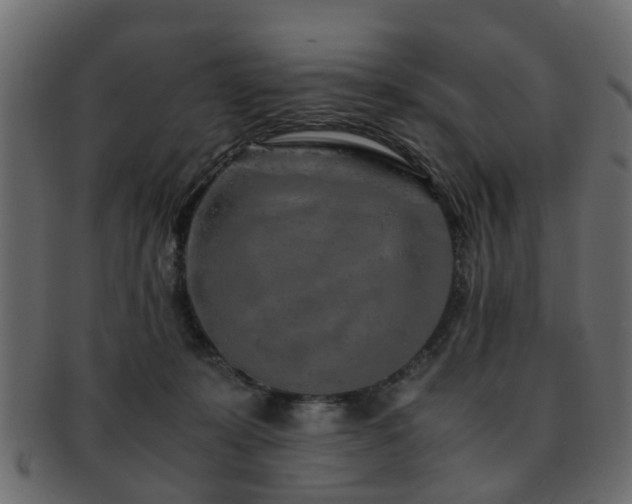 X0000093100319200709261236
