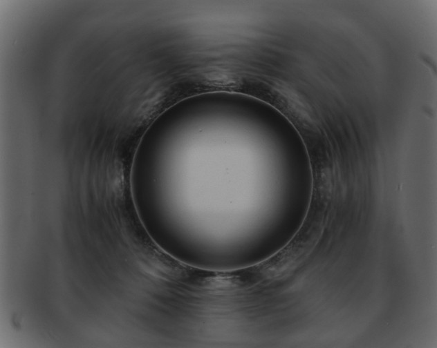 X0000093100320200709261236