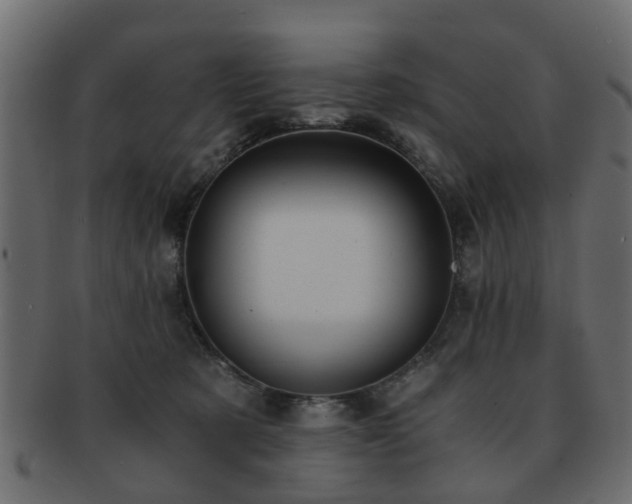 X0000093100321200709261236
