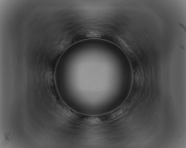 X0000093100322200709261236