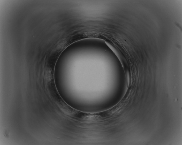 X0000093100323200709261236