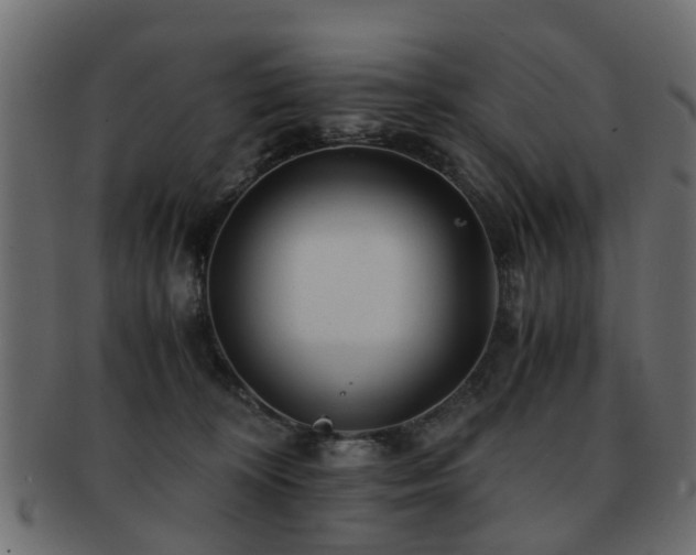 X0000093100324200709261236