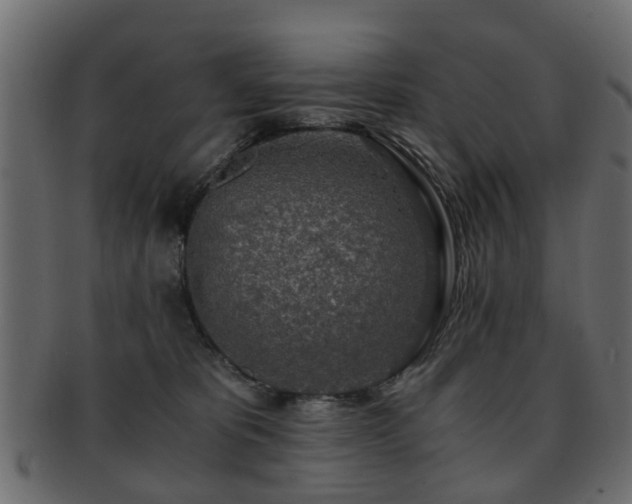 X0000093100325200709261236