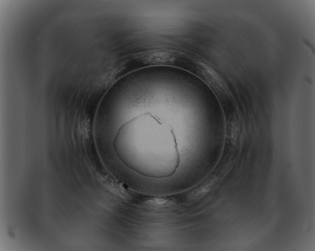 X0000093100326200709261236