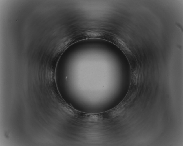 X0000093100330200709261235