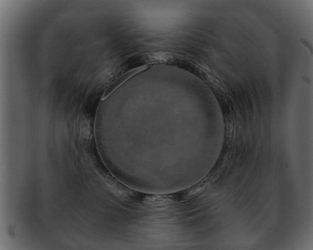 X0000093100331200709261235