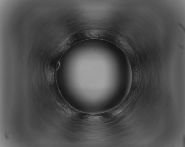 X0000093100332200709261235