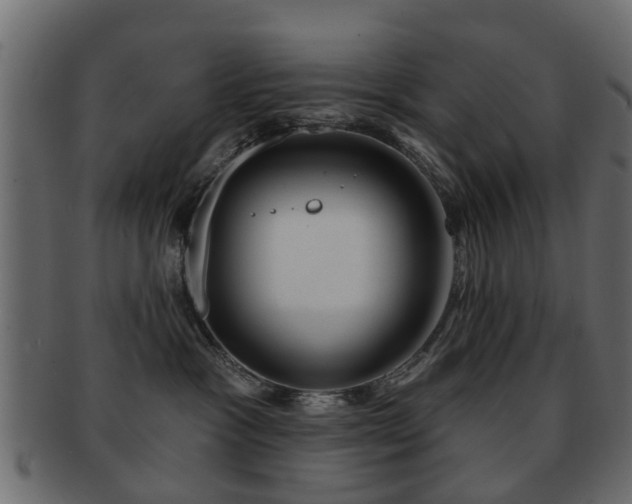X0000093100333200709261235