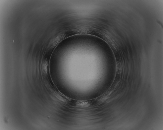 X0000093100334200709261235
