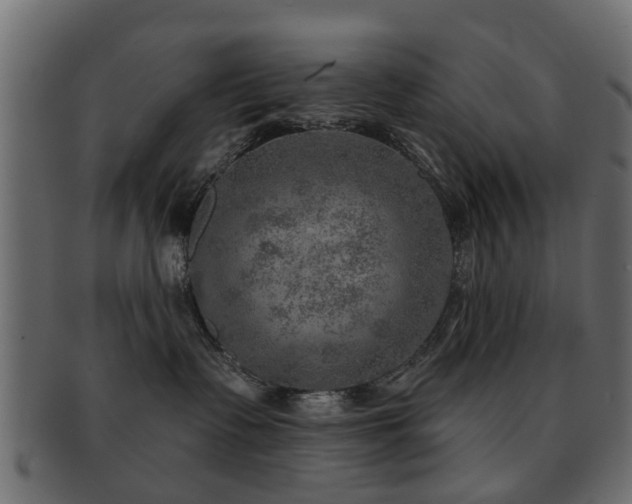 X0000093100335200709261235