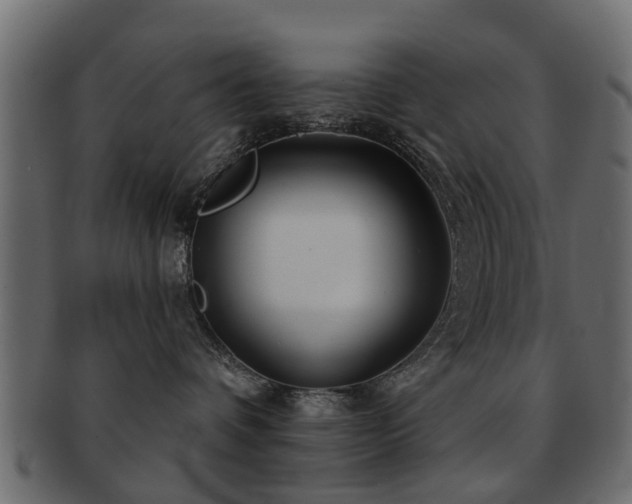 X0000093100336200709261235