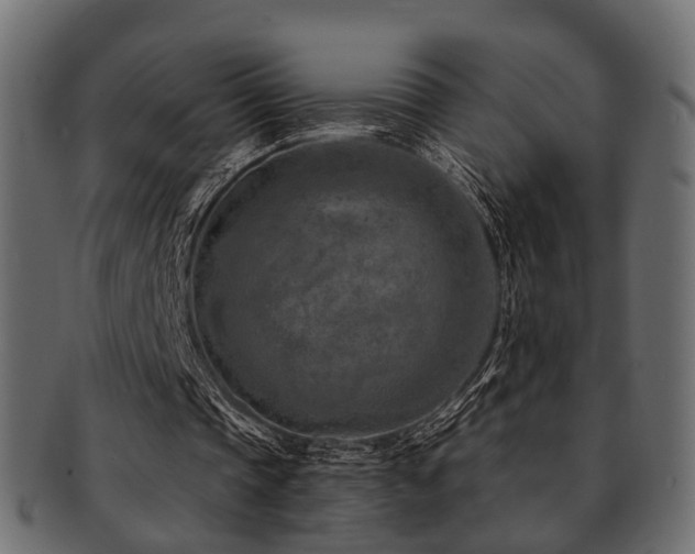 X0000093100337200709261235