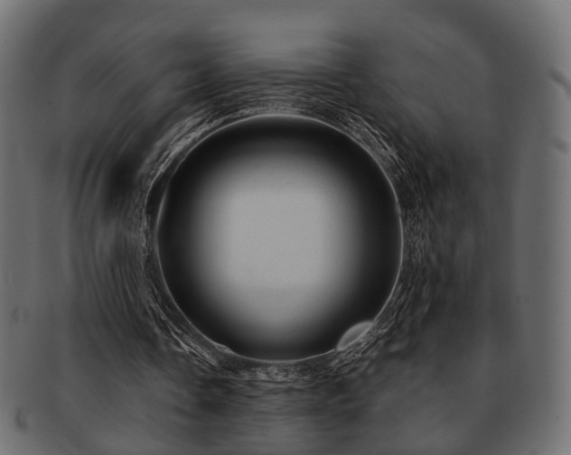 X0000093100338200709261235