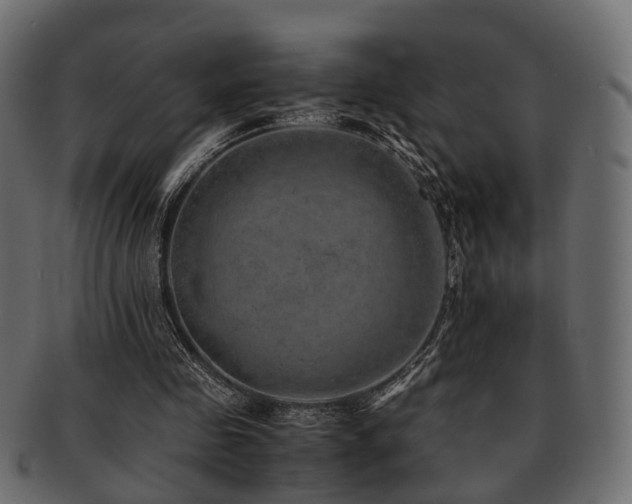 X0000093100341200709261235