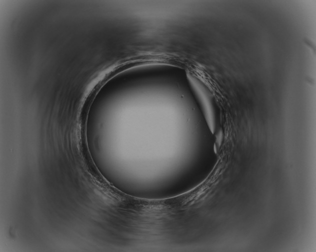 X0000093100342200709261235