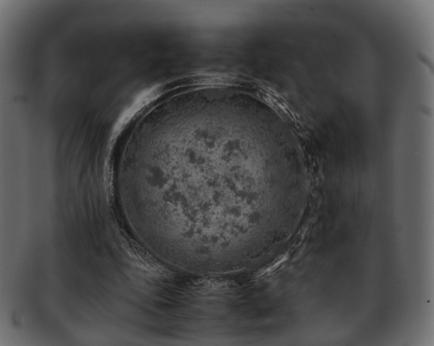 X0000093100343200709261235