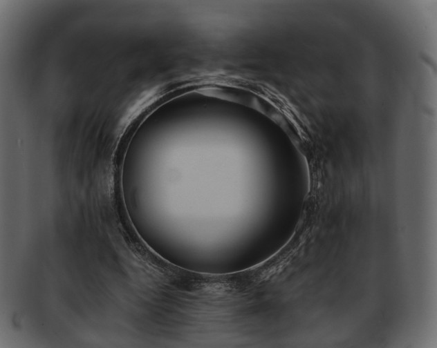 X0000093100344200709261235