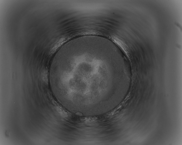 X0000093100345200709261235
