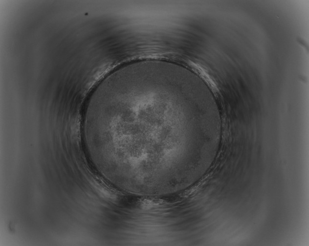 X0000093100346200709261235