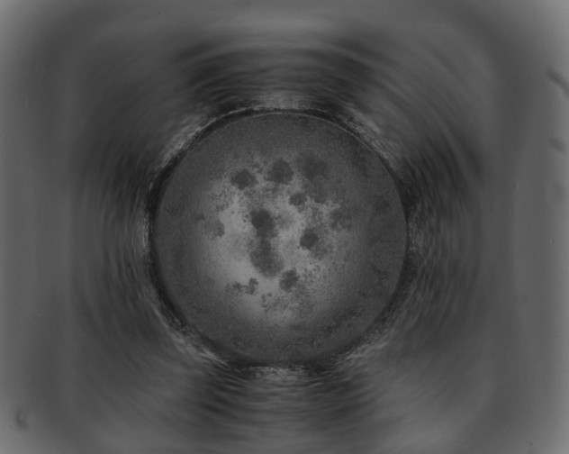 X0000093100347200709261235