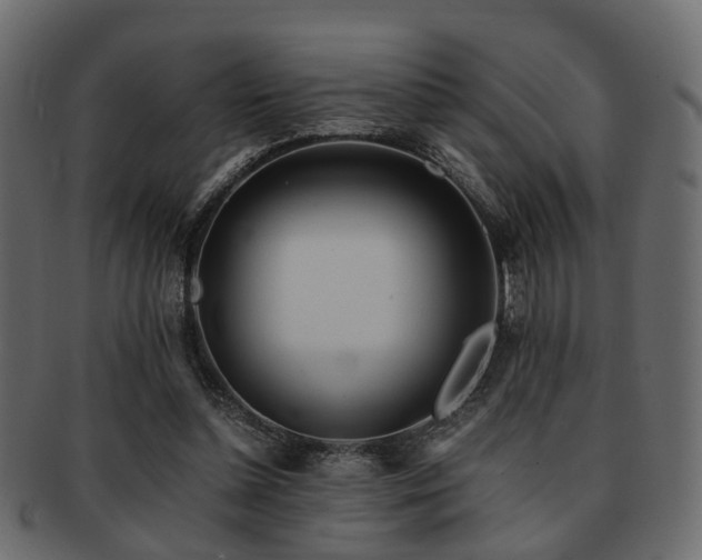 X0000093100348200709261235