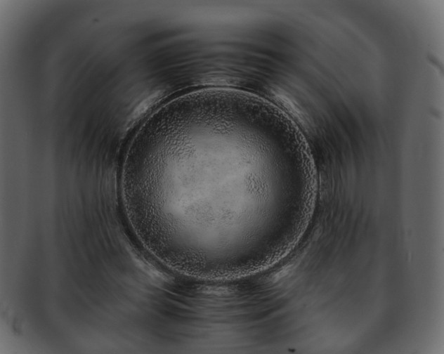X0000093100349200709261235