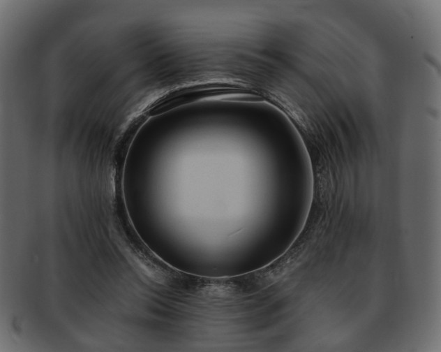X0000093100350200709261235