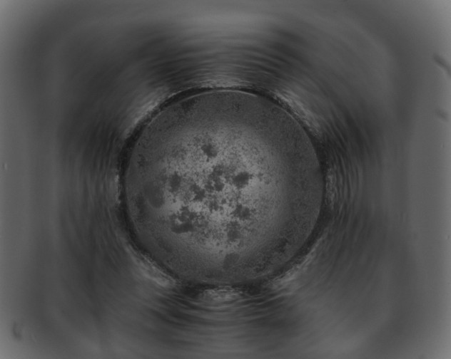 X0000093100351200709261235