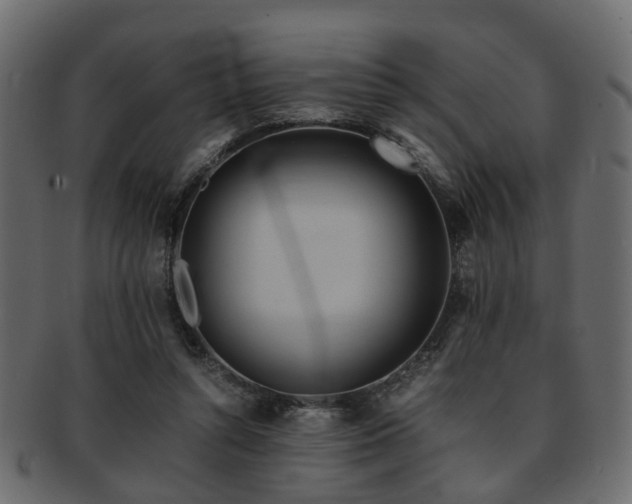 X0000093100352200709261235