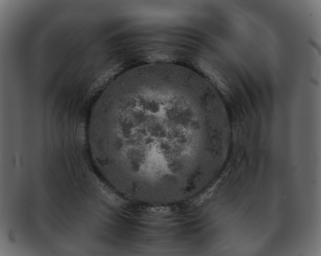X0000093100353200709261235