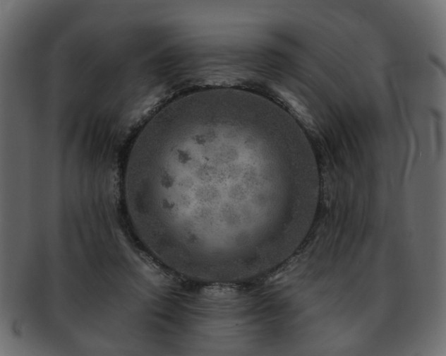 X0000093100354200709261235